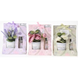 JK Home Décor - Αρωματικό Σετ Bloom Time 3Σχδ 150637 (1 τμχ)