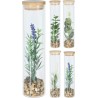 JK Home Décor - Φυτό Σε Σωληνα Bamboo 5x21cm 4Σχδ 284332(1 τμχ)